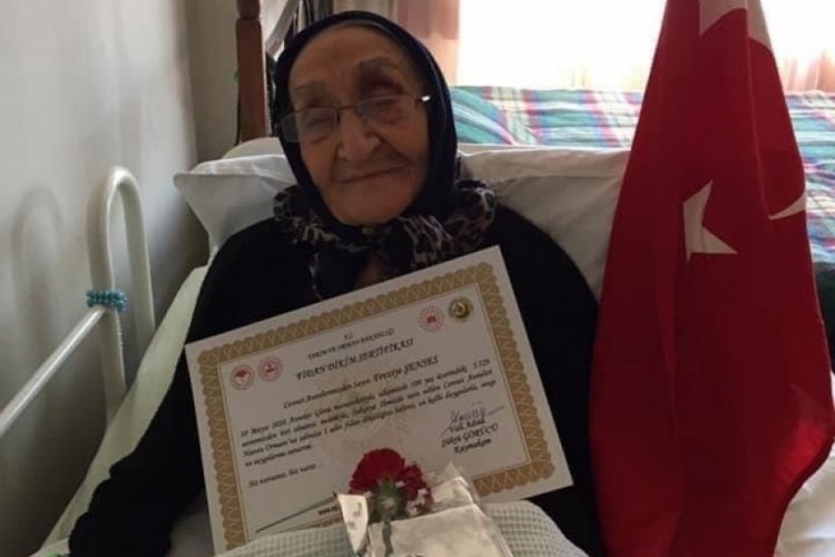 İneg&ouml;ll&uuml; asırlık &ccedil;ınar 106 yaşında hayatını kaybetti