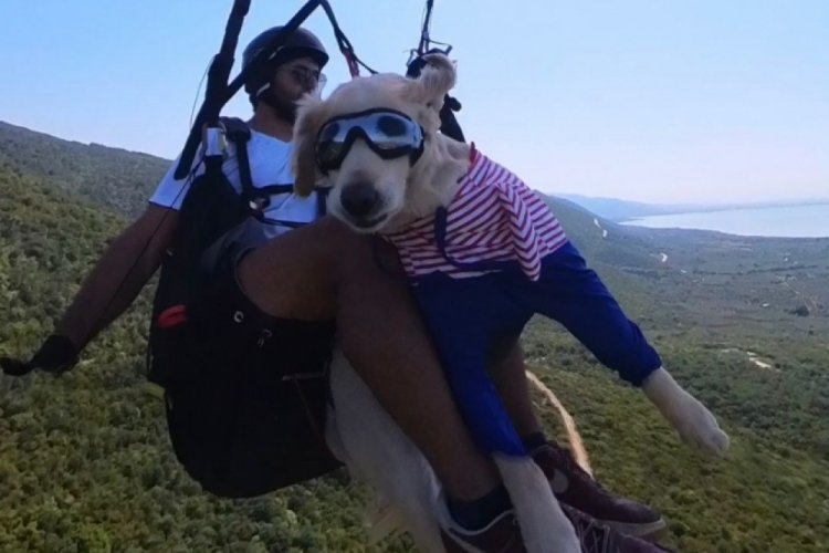 4 yıldır sahiplendiği 'Badem' adlı k&ouml;peğiyle u&ccedil;uyor