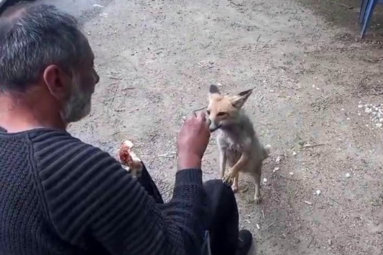 &Ccedil;ay ocağının yeni maskotu g&ouml;renleri g&uuml;l&uuml;msetti