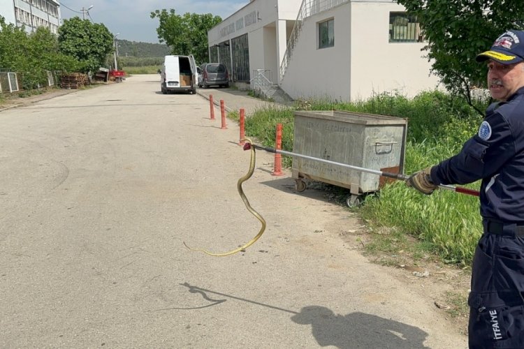 Bursa'da polis arabasına giren yılanı itfaiye ekibi &ccedil;ıkardı
