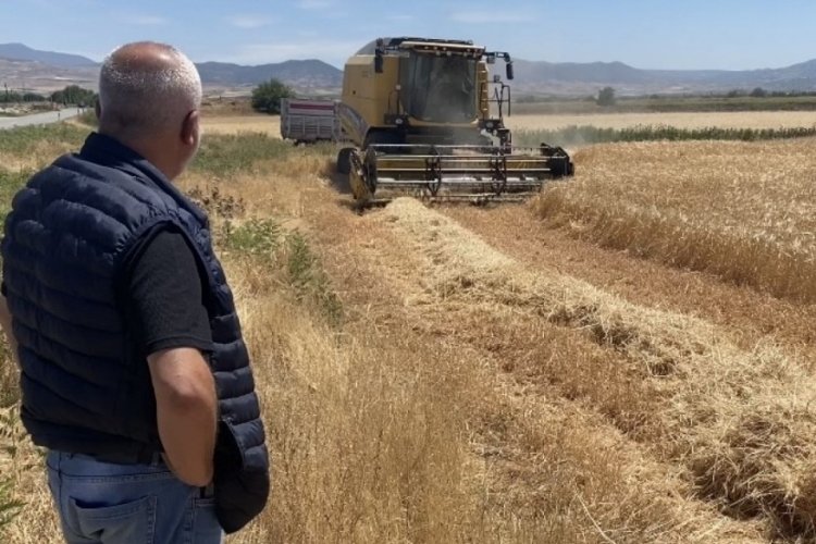 Manisa'nın Alaşehir il&ccedil;esinde arpa hasadı başladı