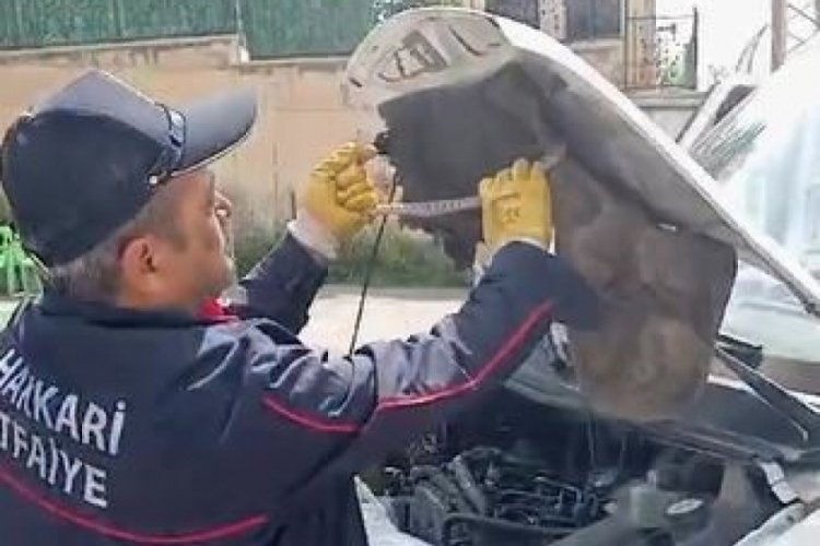 Hakk&acirc;ri'de aracın kaputuna giren yılan dehşet dolu anlar yaşattı
