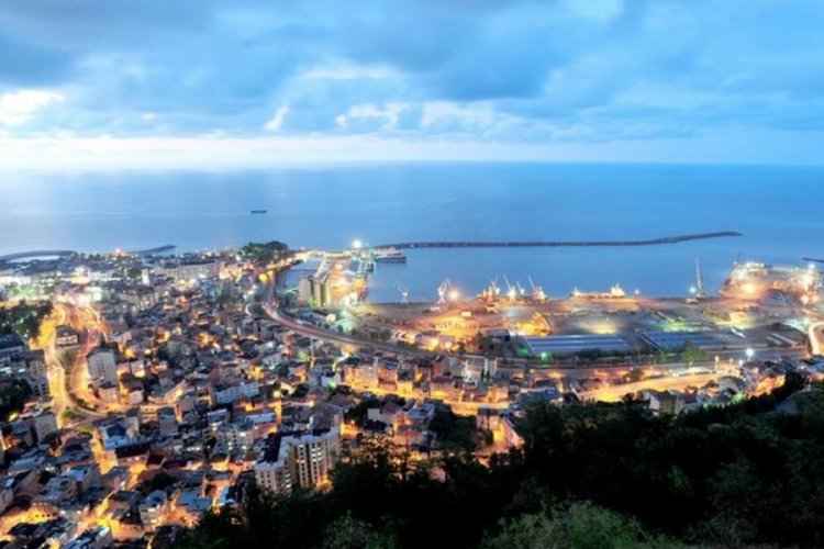 Trabzon'da sahipsiz hayvanlara şiddet iddialarına ilişkin a&ccedil;ıklama