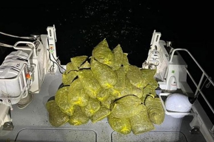 &Ccedil;anakkale'de 1300 kilogram midye ele ge&ccedil;irildi