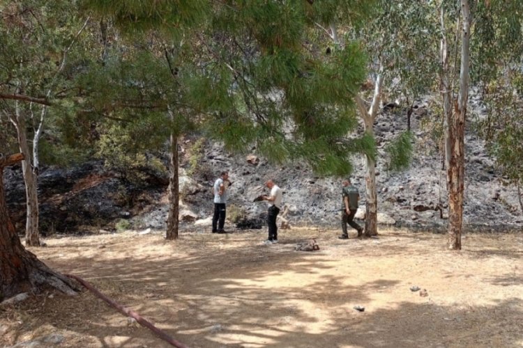 İzmir'de ormanlık alandaki yangın kontrol altına alındı