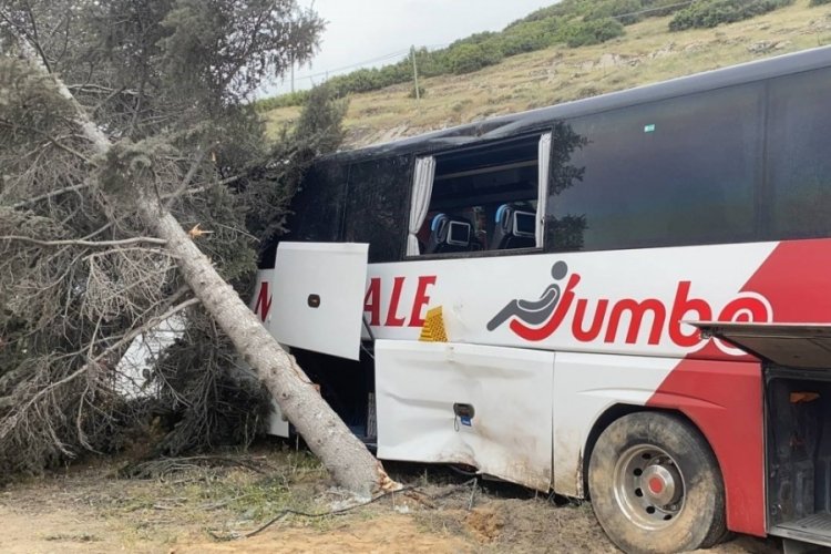 Isparta'da kontrolden çıkan yolcu otobüsü ağaca çarptı: Çok sayıda yaralı var