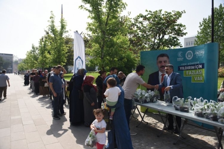 Yıldırım Belediyesi'nden 50 bin fide