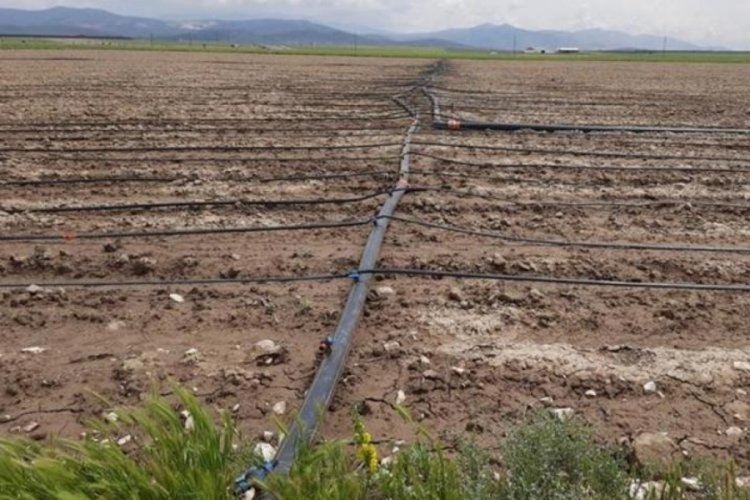 Niğde'de &uuml;reticilere hibe desteği