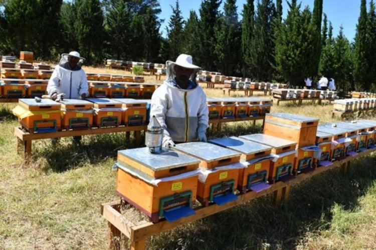 Bakan Yumaklı'dan arıcılara m&uuml;jde! &Uuml;retime s&uuml;rd&uuml;r&uuml;lebilirlik geliyor