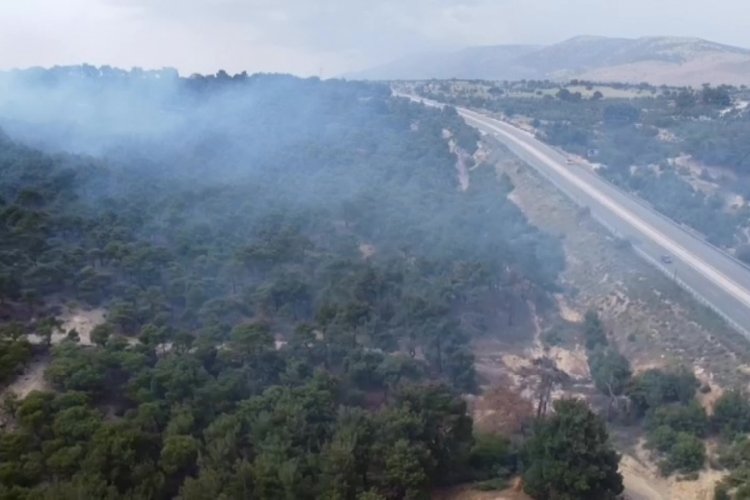 Denizli'de 10 d&ouml;n&uuml;m ormanlık alan piknik ateşinden zarar g&ouml;rd&uuml;