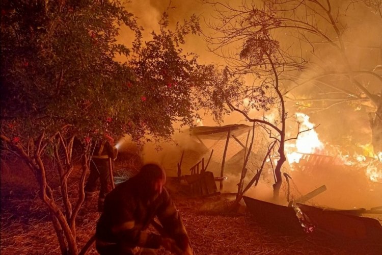 Aydın'da saman yangını geceyi aydınlattı