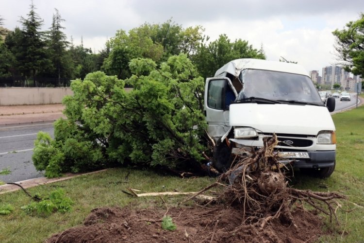 Yoldan &ccedil;ıkan panelvan ara&ccedil; ref&uuml;jdeki ağaca &ccedil;arptı