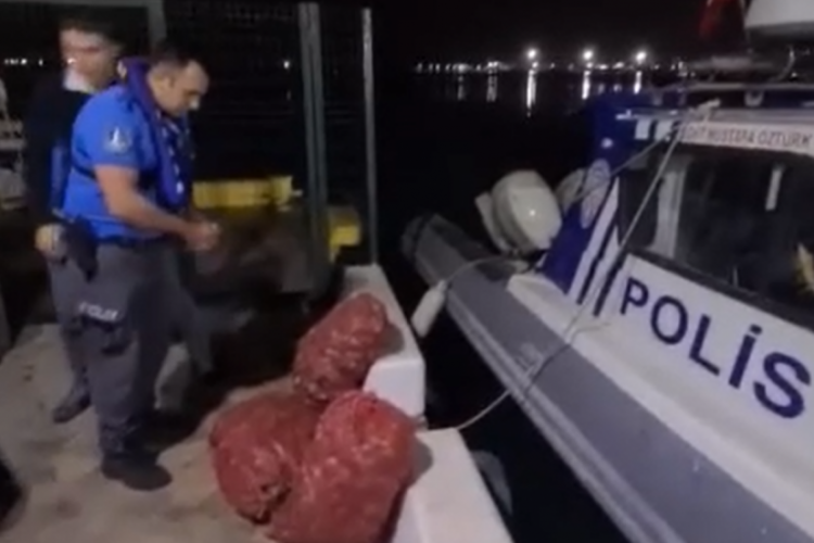 Samsun'da ka&ccedil;ak salyangoz avcılarına ceza!