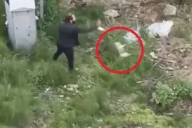 Trabzon'da yavru kediye eziyet eden şahsın ifadesi şoke etti!