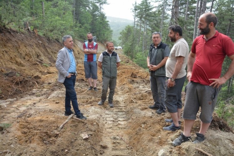 K&uuml;tahya'da 'yol ve ağa&ccedil;landırma' &ccedil;alışmaları