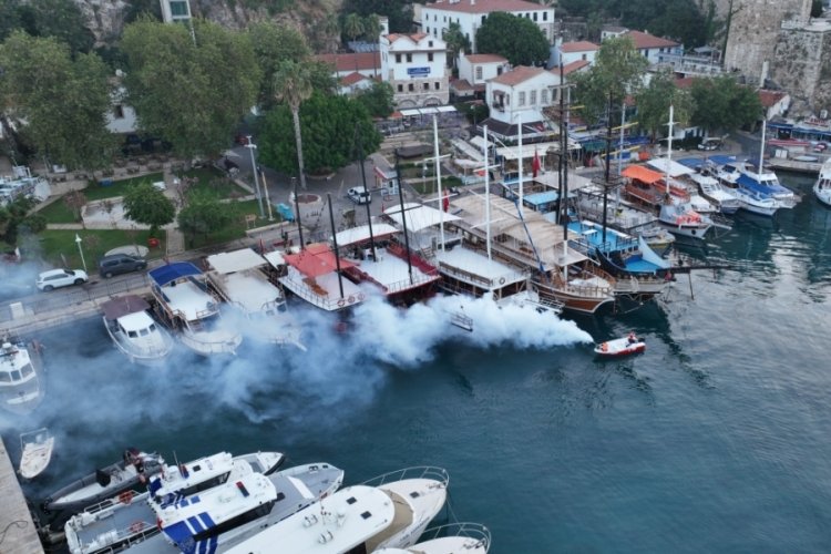 Antalya sivrisinek ve haşerelere karşı ila&ccedil;lamalar devam ediyor