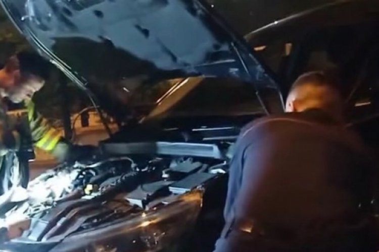 Kocaeli'de otomobile giren yılan hem korkuttu hem de uğraştırdı