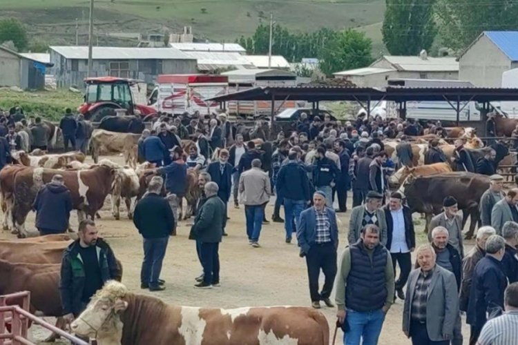Kurbanlıklar g&ouml;r&uuml;c&uuml;ye &ccedil;ıktı! İşte fiyatlar