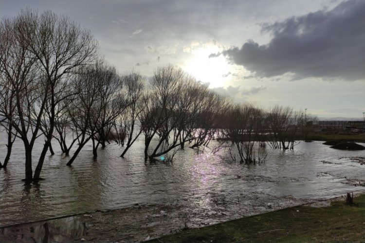Ardahan'da 3. kez taşan Kura Nehri sahilleri aratmadı