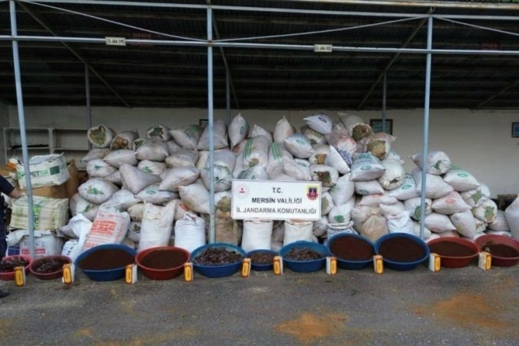 Mersin'de tonlarca ka&ccedil;ak t&uuml;t&uuml;n ele ge&ccedil;irildi