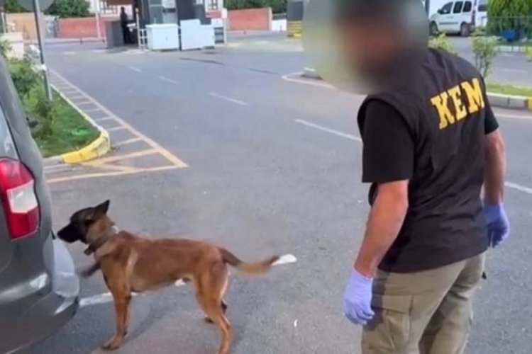 Batman'da dedekt&ouml;r k&ouml;pek İka saklanan uyuşturucuları buldu
