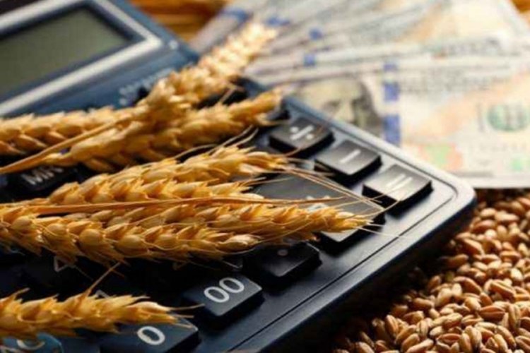 Emtia piyasasında y&uuml;kselişler dikkati &ccedil;ekti