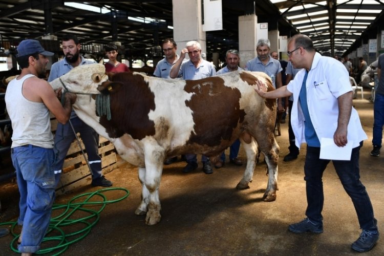 Osmangazi Belediyesi Kurban Bayramı hazırlıklarını tamamladı