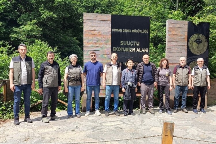 Bursa'da Mustafakemalpaşa ormanları 'Terapi ormanı' i&ccedil;in mercek altında