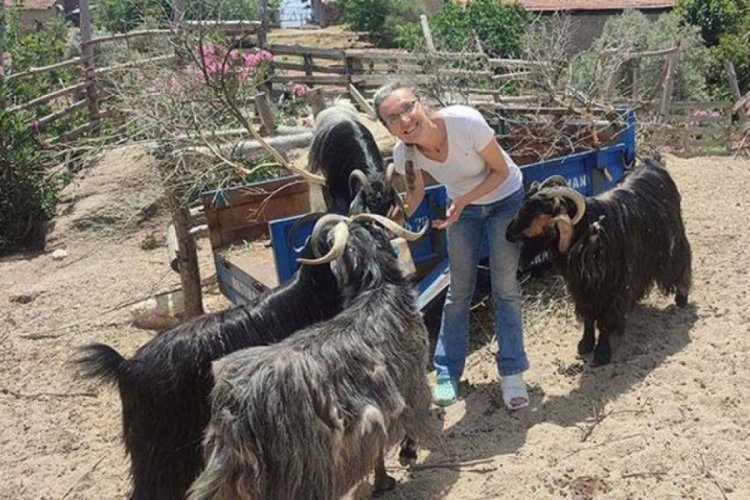 Muğla'da tilki yakalayıp, t&uuml;fekle &ouml;ld&uuml;ren komşusunu ihbar etti
