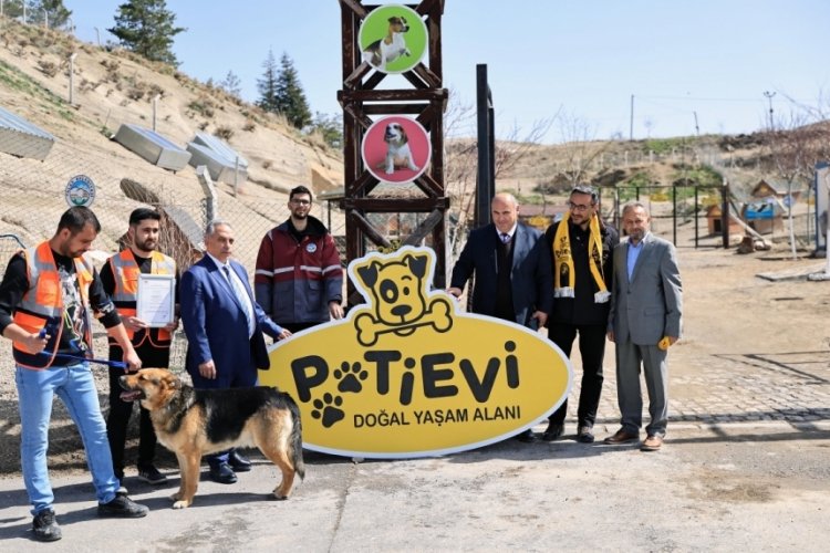 Talas Belediye Başkanı Yal&ccedil;ın'dan Pati Evi, minik dostlara yuva