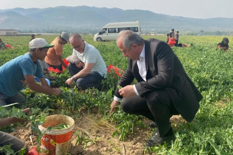 Orhangazi Kaymakamı mevsimlik iş&ccedil;ileri ziyaret etti