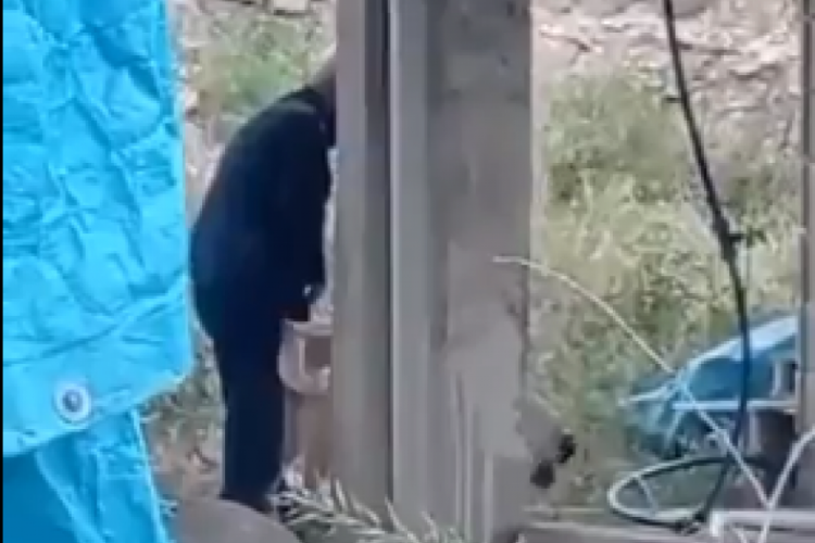 Kilis'te yaşlı bir adam k&ouml;peğe tecav&uuml;z etti! O anlar kamerada