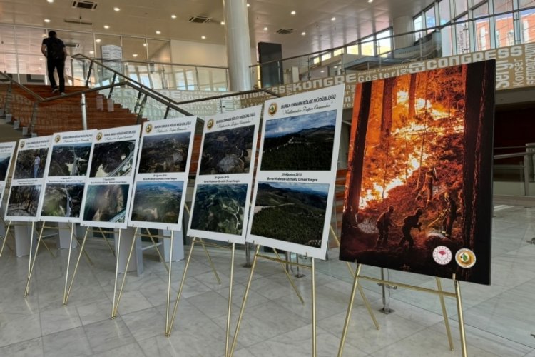 Bursa İl Milli Eğitim ve Orman B&ouml;lge M&uuml;d&uuml;rl&uuml;ğ&uuml;'nden orman yangınları ile m&uuml;cadele eğitimi