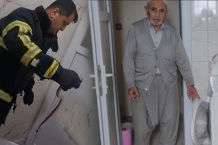 Evde yılan kabusu! &Ccedil;amaşır makinesinden &ccedil;ıkarıldı