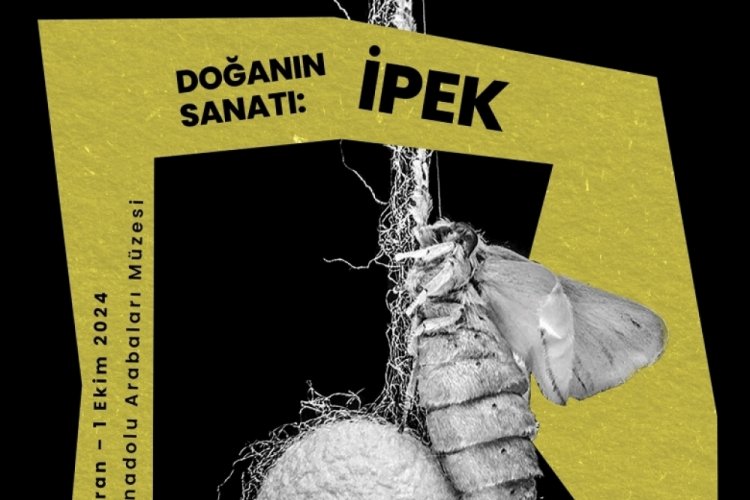 Tofaş Bursa Anadolu Arabaları M&uuml;zesi'nde yeni fotoğraf sergisi! Doğa'nın sanatı: İpek