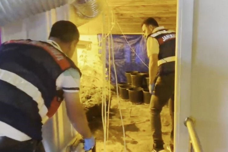Tekirdağ'da evini uyuşturucu serasına &ccedil;eviren kişi yakalandı