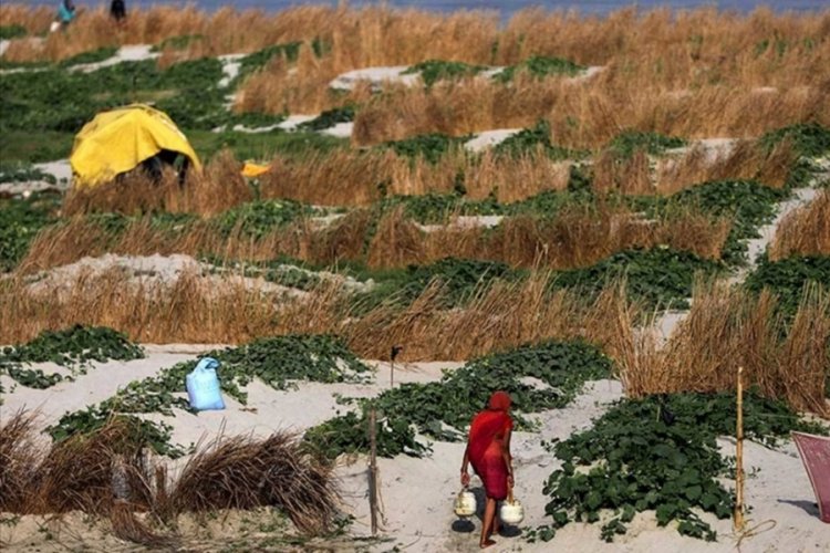 Hindistan'da t&uuml;m zamanların en y&uuml;ksek sıcaklığı kaydedildi