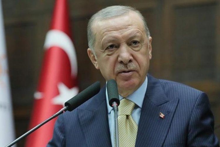 Cumhurbaşkanı Erdoğan'dan başıboş k&ouml;pek sorunuyla ilgili a&ccedil;ıklama