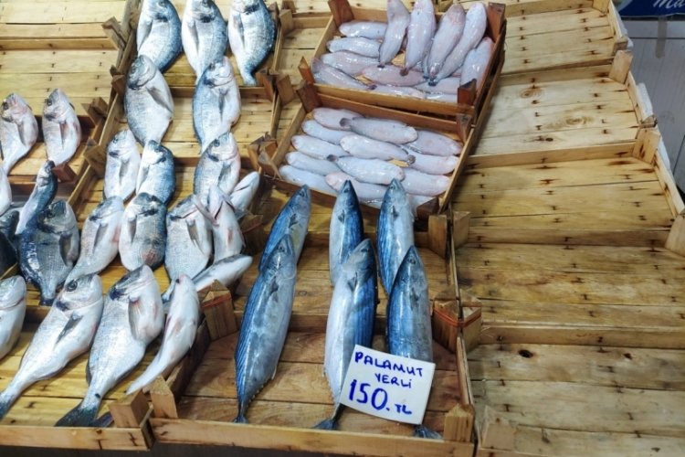 Av yasağı &ccedil;arşıdaki balıkları vurdu! Bursa'da hamsi 150 TL'den satılıyor