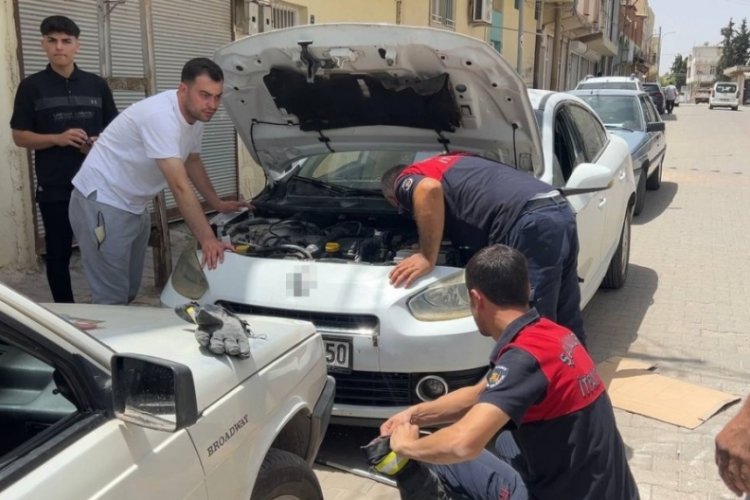 Şanlıurfa'da aracın motor kısmına giren yavru kedi kurtarıldı