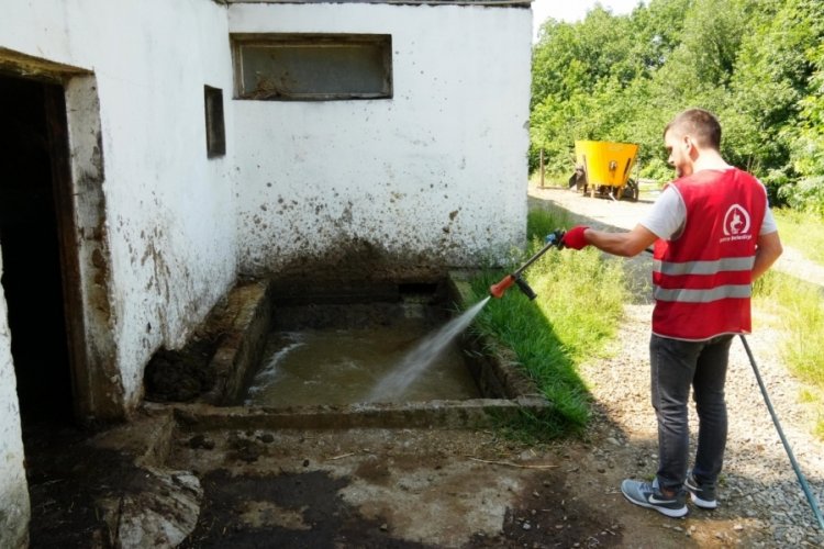 D&uuml;zce'de kuyu ve durağan su alanları titizlikle ila&ccedil;lama yapıldı