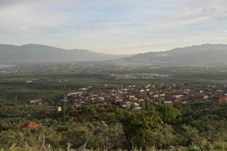 Bursa'nın o il&ccedil;esinde uyuz vakaları arttı, muhtarlık uyardı!