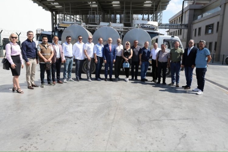 T&uuml;rkiye'de yılda 21 milyon ton s&uuml;t &uuml;retiliyor