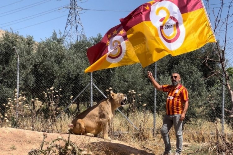 Galatasaray'ın 24. şampiyonluğunu aslanlarıyla kutladı