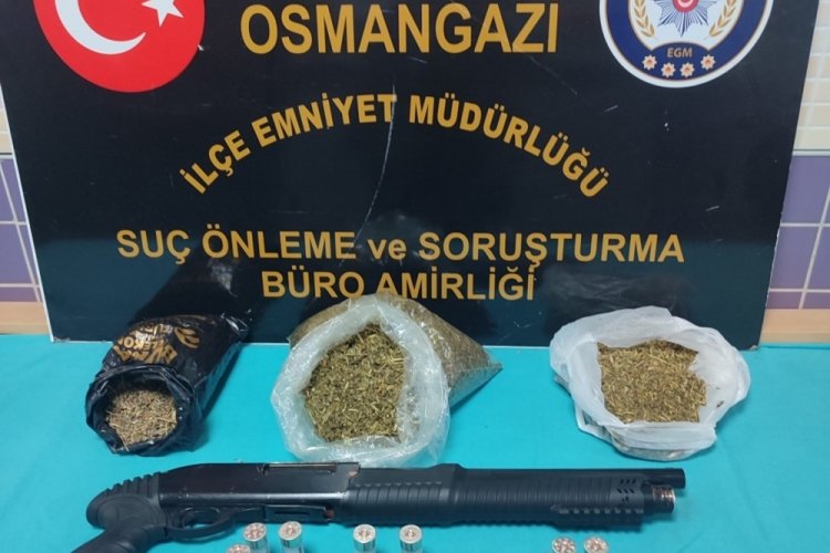 Bursa'da 1 kilo 437 gram bonzai yakalandı