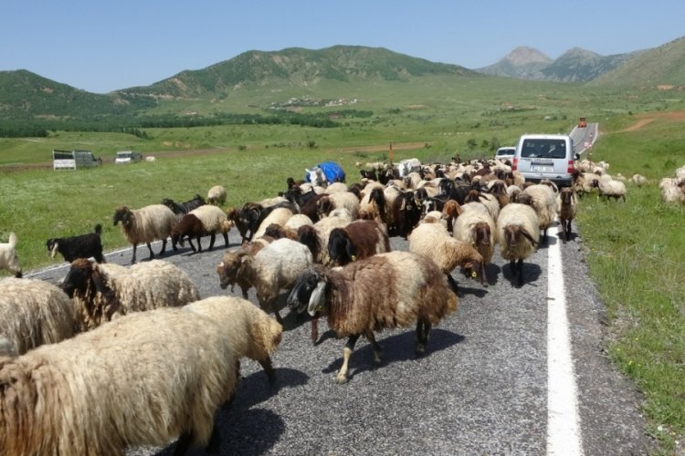 Bitlis'te zorlu g&ouml;&ccedil; yolculuğu başladı