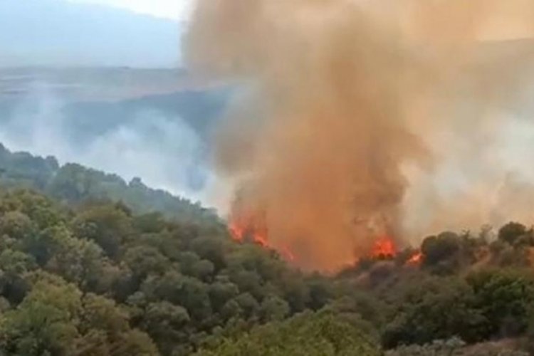 Manisa'da korkutan yangın! Havadan ve karadan m&uuml;dahale s&uuml;r&uuml;yor