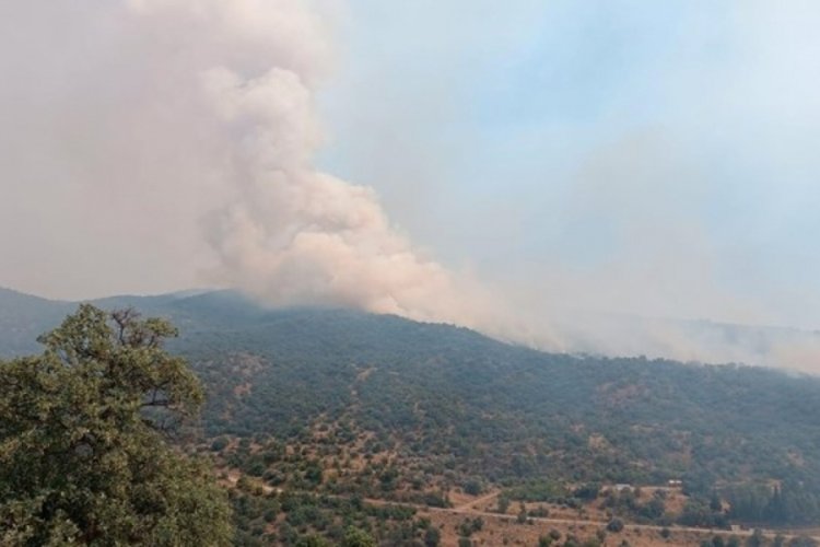 Manisa'daki yangında ekip sayısı artırıldı: Uşak-İzmir tren seferleri durduruldu