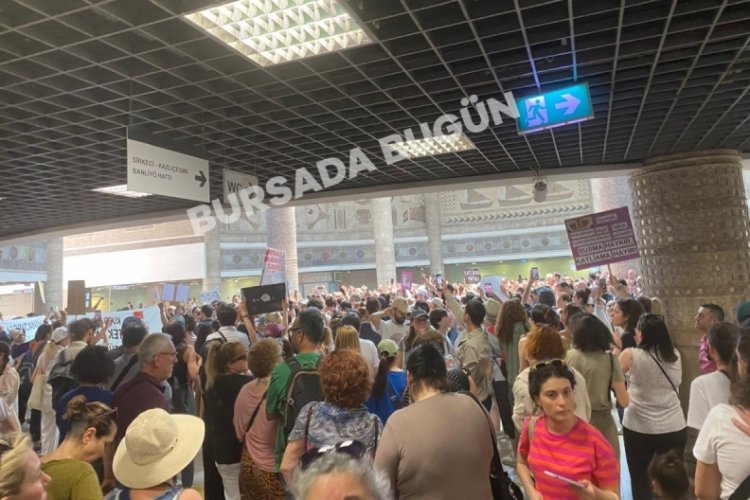 Sokak hayvanları i&ccedil;in T&uuml;rkiye tek y&uuml;rek