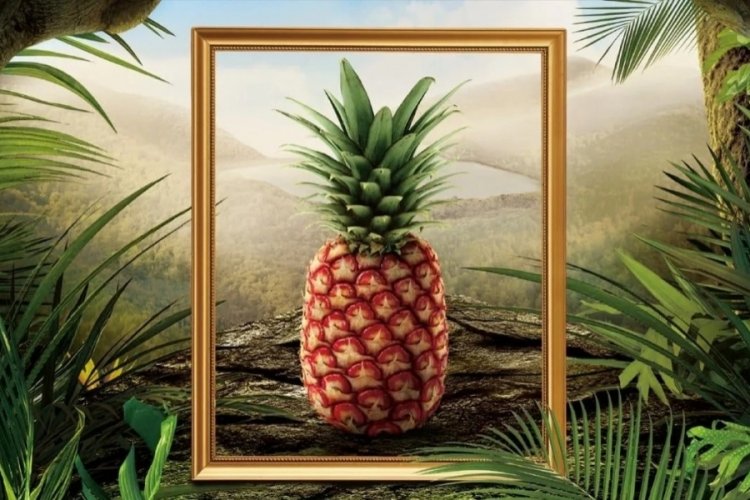 400 dolarlık ananas yok satıyor
